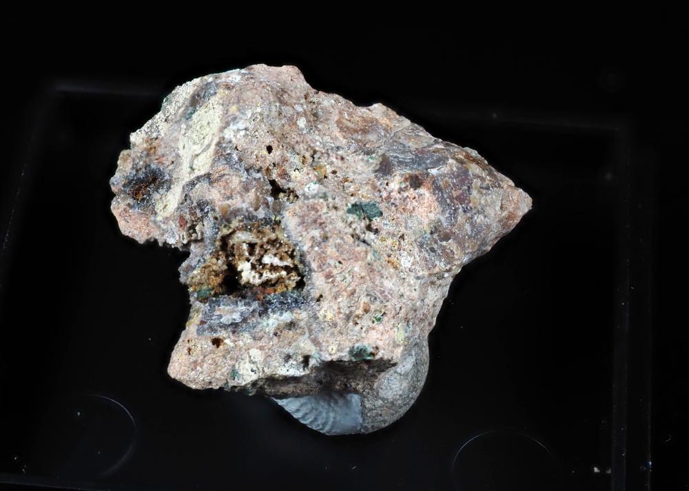 Parsonsite